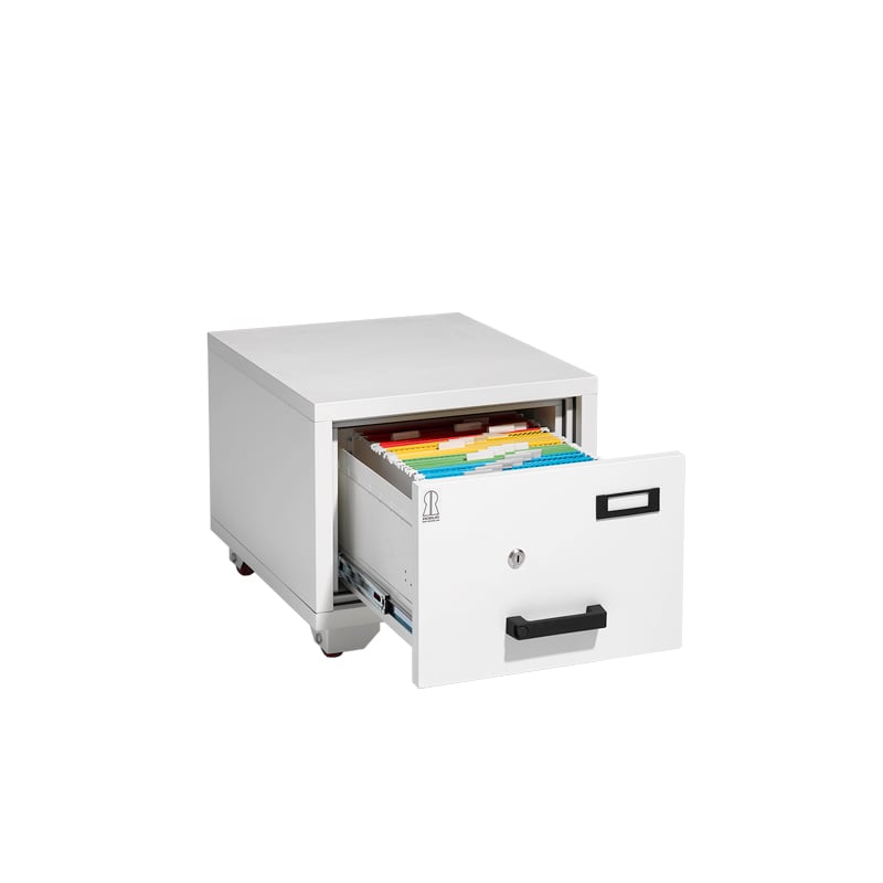 Brandklassade arkivskåp Robur - 4