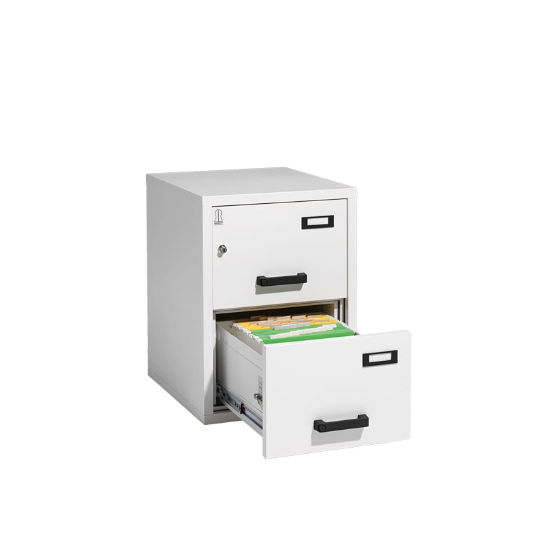 Brandklassade arkivskåp Robur - 3