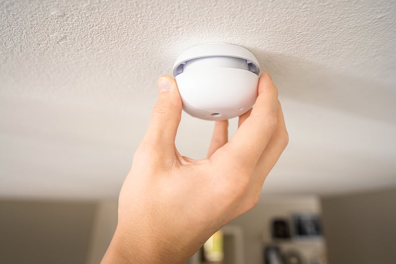 Brandvarnare Housegard Pebble Mini - 1