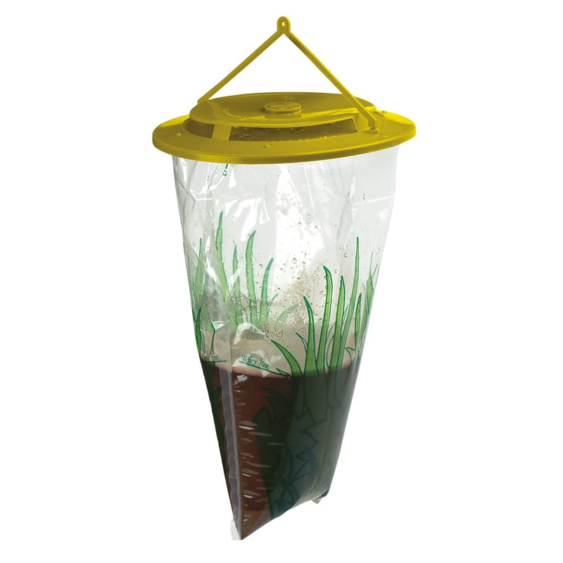 Fly City Getingfångare - 1