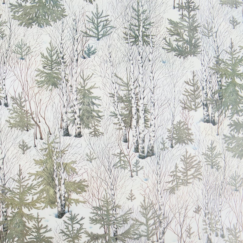 Presentpapper Birch