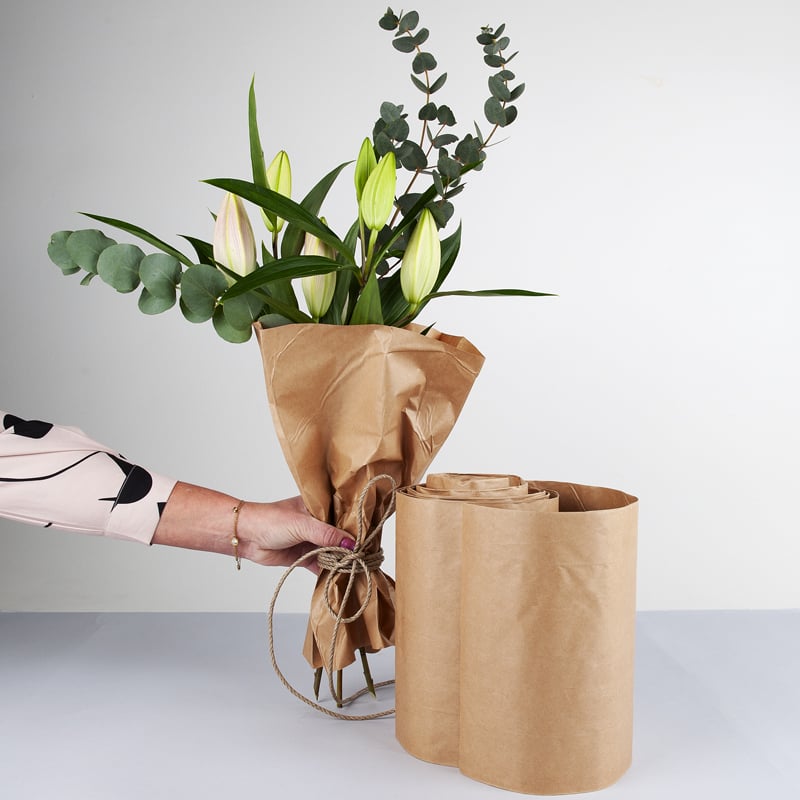 Svart pappersslang - 1