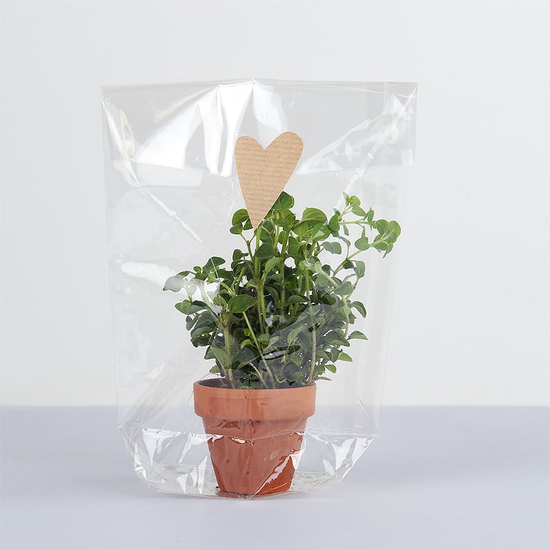 Cellofanpåse kanister - 4