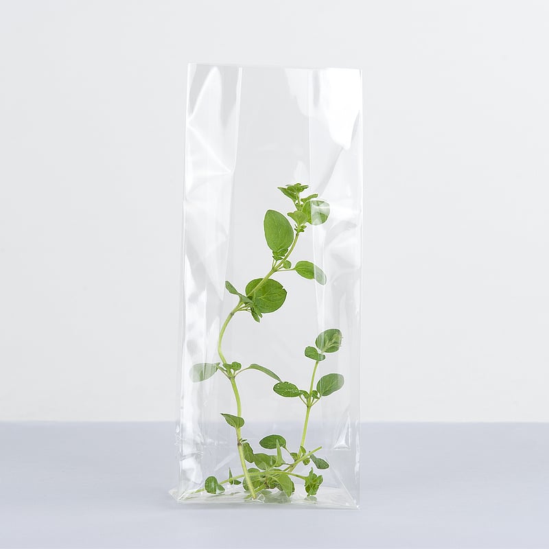 Cellofan fix-up påse - limmad - 1