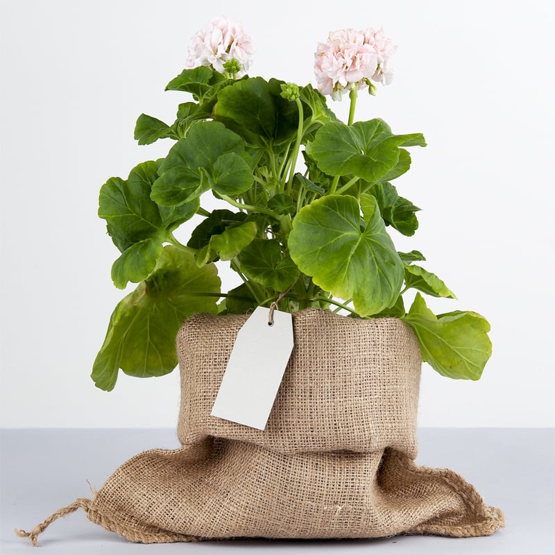 Jutesäck som passar perfekt som present- eller produktförpac - 2