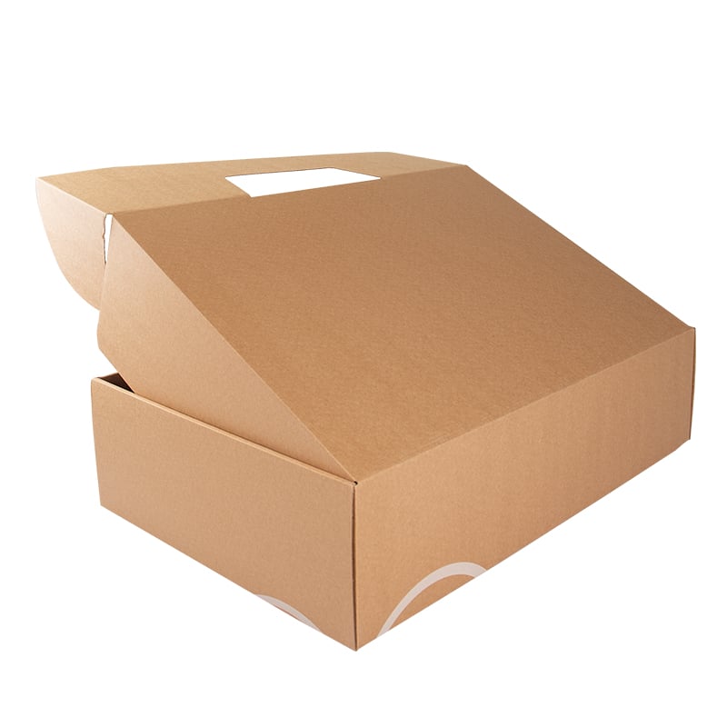 CarryBox 100% Climate Neutral - 4