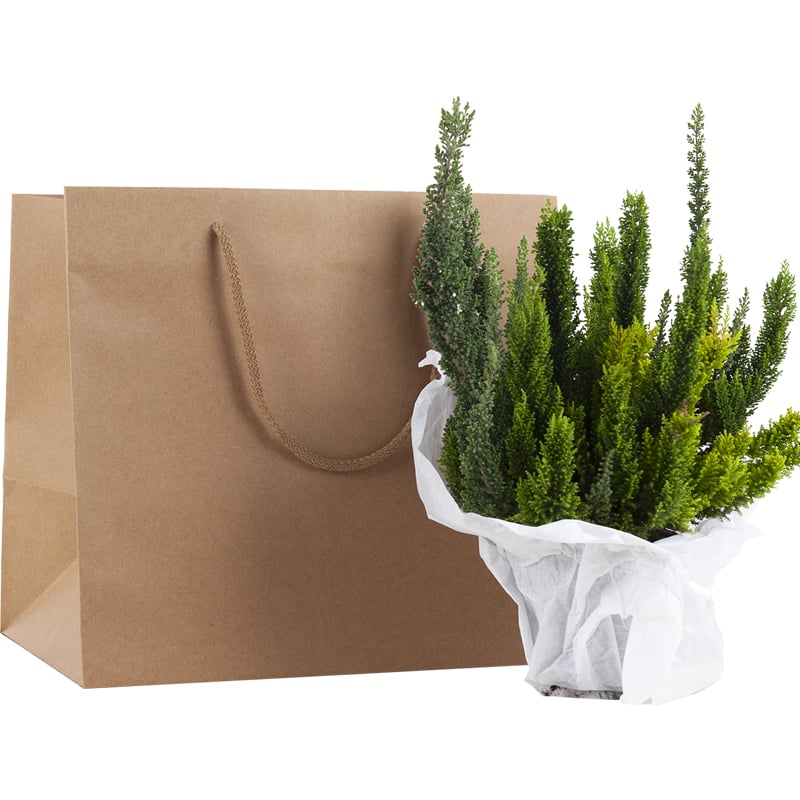 Lyxkasse gourmet natur - 2