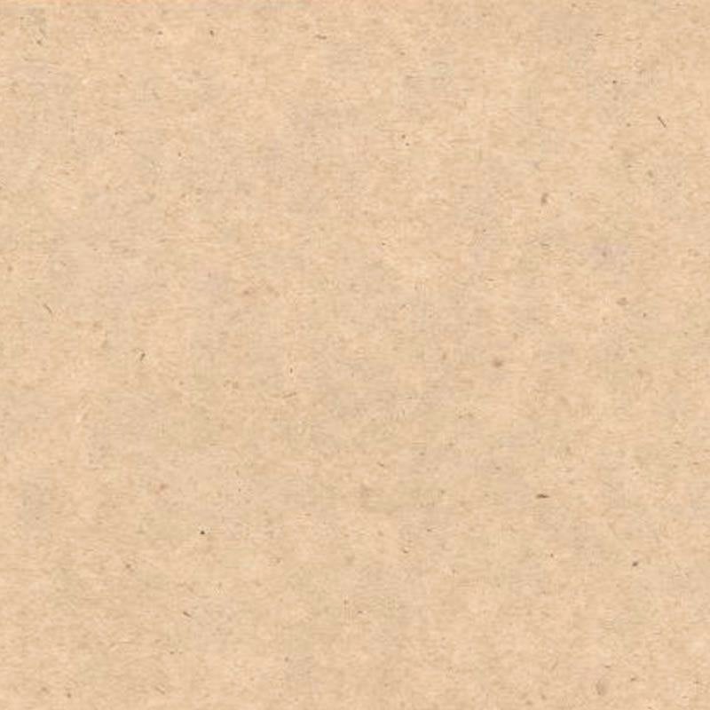 Presentpapper Otryckt kvist