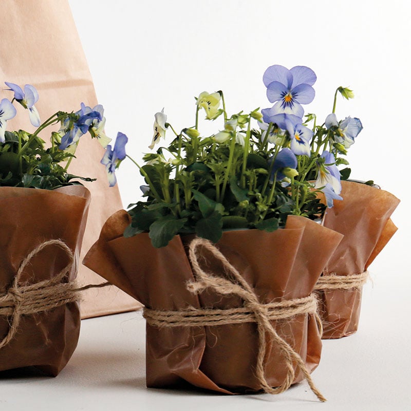 Vaxat kraftpapper - 2